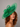 Ascot Style 27 Shamrock