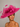 Ascot Style 3 Lipstick