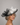 Ascot Style 79 Black/White
