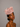 Ascot Style 106 Blush