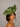 Ascot Style 85 Olive