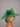 Ascot Style 81 Shamrock