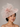 Ascot Style 19 Rose