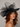 Ascot Style 30 Black