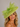 Ascot Style 64 Lime