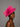 Ascot Style 69 Fuchsia