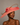 Ascot Style 7 Coral