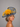 Ascot Style 75 Navy/Yellow