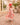 Invitations by Veni 36001 Fuxia Coral