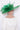 Snoxell Gwyther 806 - Shamrock