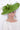 Style 39 Garden Flora / Flora Wild 2026