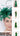 The Niche Collection 23004 - Kelly Green
