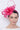 The Niche Collection 23004 - Raspberry