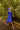 Veni Infantino 992236 Royal
