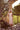 Veni Infantino 992409 Blossom