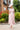 Veni Infantino 991732 - Sparkle chiffon dress-A-line Dress