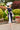 Veni Infantino 991874 Navy/Ivory-Dress