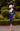 Invitations by Veni 29820 Navy/Ivory-Dress