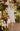 Veni Infantino 991434 Platinum/Ivory-Dress